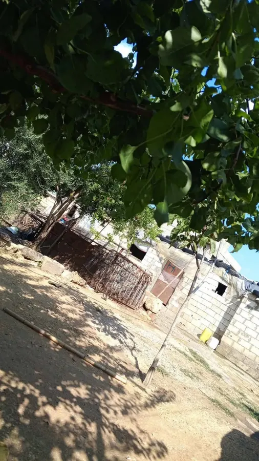 image-1874499517047265.jpg